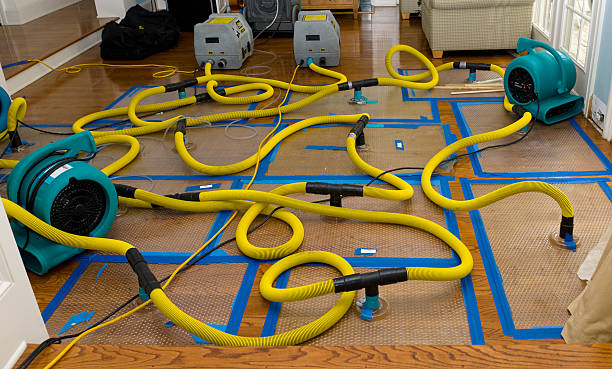 Professional Crawl Space Water Removal technician working in Maple Rapids, MI